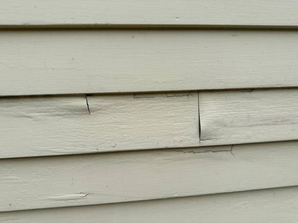 Best Historical Building Siding Restoration  in USA